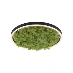 003902-026998 - 15391-66 LAMPA SUFITOWA GREEN RITUS -...