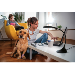 22343 Lampka biurkowa LED FRANCO II LED W KANLUX