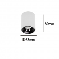 LP-4848/1RM WH Oprawa natynkowa Tom biała LED CCT Light Prestige