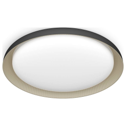 8720169301115 PLAFON LAMPA SUFITOWA 10W 4000K PHILIPS