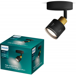 8720169300071Sufitowy/ścienny reflektor punktowy Niall  KINKIET LAMPA PHILIPS