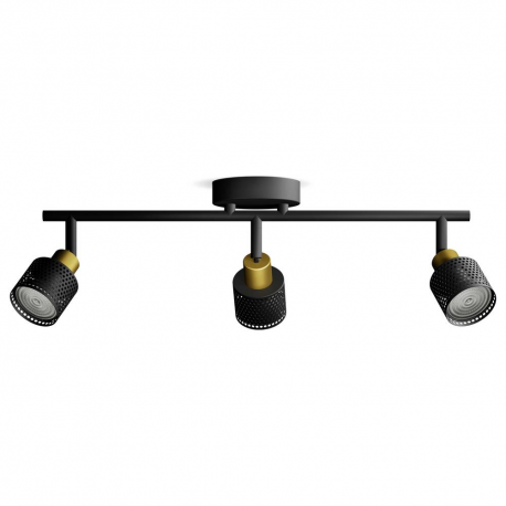 8720169300118 Sufitowy/ścienny reflektor punktowy Niall LAMPA PHILIPS