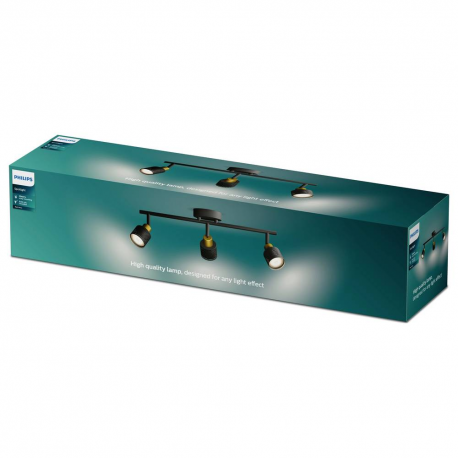 8720169300118 Sufitowy/ścienny reflektor punktowy Niall LAMPA PHILIPS