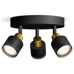 8720169300156 Sufitowy/ścienny reflektor punktowy Niall PLAFON PHILIPS