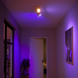 8720169318373  Centris 2, sufitowy reflektor punktowy  PHILPS HUE