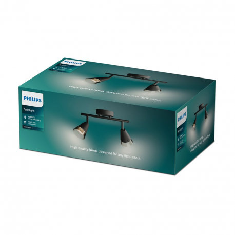 8720169299993 Sufitowy/ścienny reflektor punktowy Cleft 2 PHILIPS