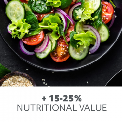 5902201382969 Żarówka do roślin LED PLANTY 40W E27 1200K Kobi Design GROW