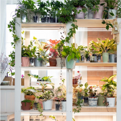 5907178003237 Lampa do roślin LED GROWLY 2x8,5W Kobi Design