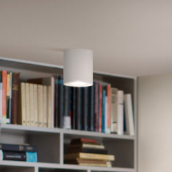 8720169320291 Pojedyncze oświetlenie punktowe Pillar PHILIPS HUE