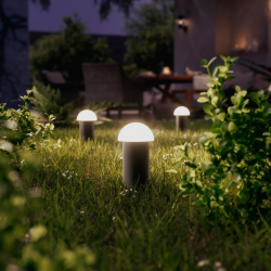 Lampa słupkowa/przyścieżkowa Edwina 1,5 W  8720169386990 PHILIPS GARDEN