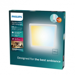 8721103060907 Lampa sufitowa Valen 17 W kwadratowa PHILIPS