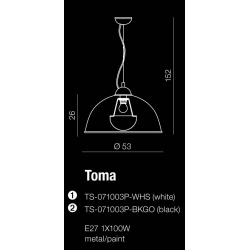 TOMA LAMPA WISZĄCA TS-071003P-BKGO (BLACK) AZZARDO AZ2376