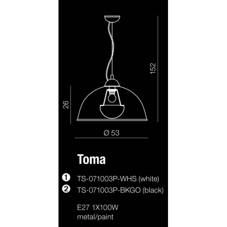 TOMA LAMPA WISZĄCA TS-071003P-BKGO (BLACK) AZZARDO AZ2376