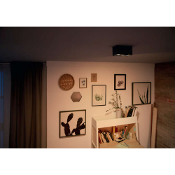 BOX 50492/30/P0 LAMPA OŚWIETLENIE PUNKTOWE PHILIPS