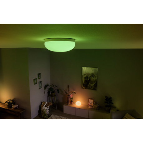 FLOURISH 40905/31/P7 LAMPA SUFITOWA LED HUE PHILIPS white and color ambience