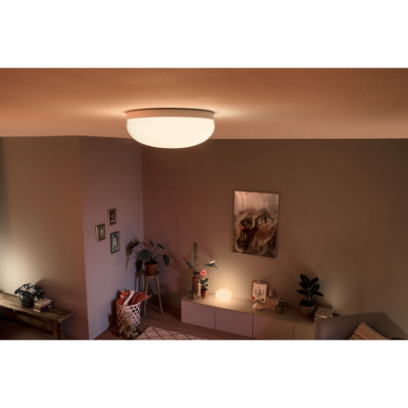 FLOURISH 40905/31/P7 LAMPA SUFITOWA LED HUE PHILIPS white and color ambience