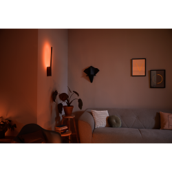 LIANE 40902/30/P7 LAMPA ŚCIENNA LED HUE PHILIPS White and color ambiance