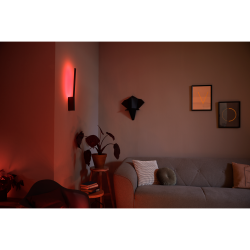 LIANE 40902/30/P7 LAMPA ŚCIENNA LED HUE PHILIPS White and color ambiance