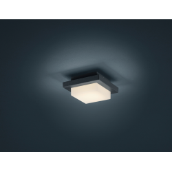 HONDO 228960142 PLAFON OGRODOWY TRIO